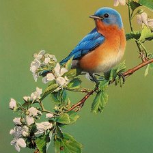 Схема вышивки «№208596»