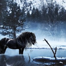 Схема вышивки «№208631»