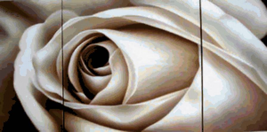 Триптих ''роза''  (общий вид) - романтика, розы, букет, диптих, цветы, роза, черно-белое, триптих - предпросмотр