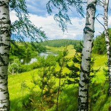 Схема вышивки «№208705»