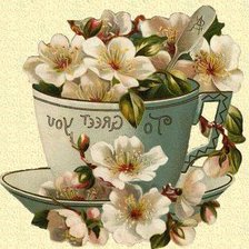 цветы в кружке