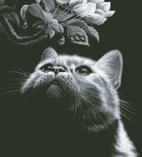 Схема вышивки «№208756»