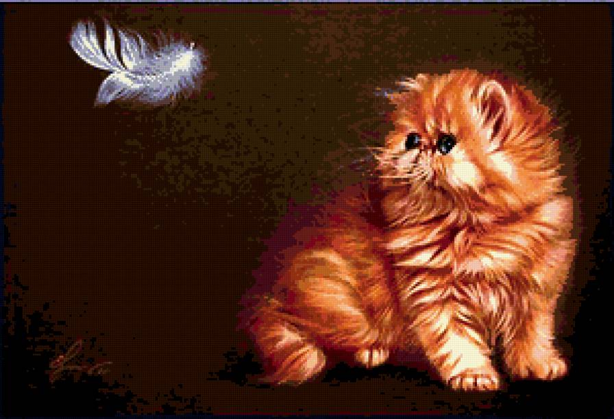 №208774 - кот, рыжий кот - предпросмотр