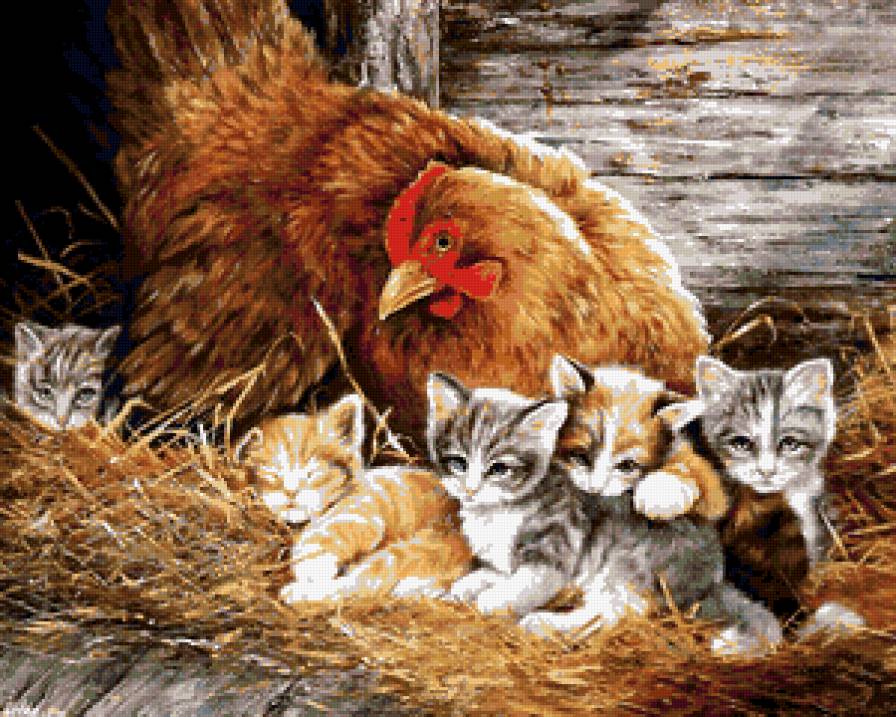 №208777 - животное, курица, котята - предпросмотр