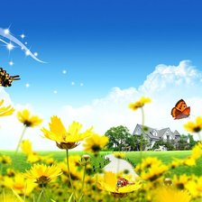 Схема вышивки «Поле цветов и бабочка»