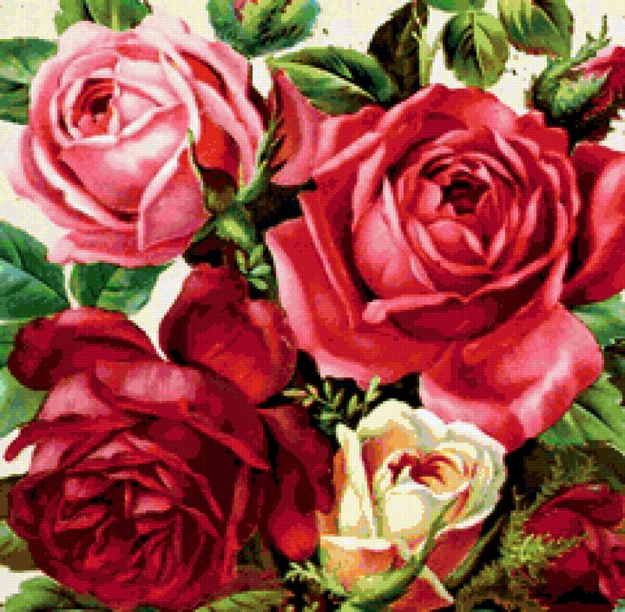 розы - розы, природа, букет, романтика, цветы, натюрморт - предпросмотр