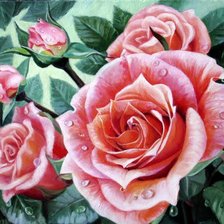 Схема вышивки «розы»