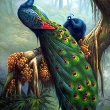 Схема вышивки «Райские птицы»