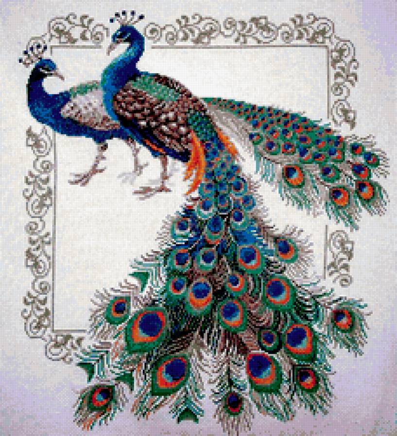 подушка - подушка, цветы, павлины - предпросмотр