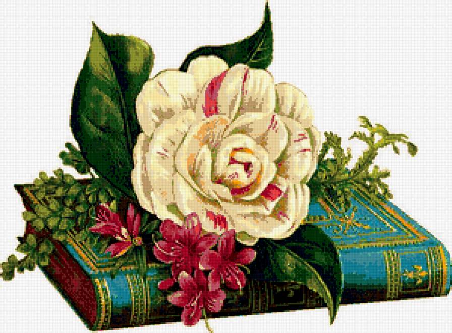 роза - книга, розы, цветы, натюрморт, цветок - предпросмотр