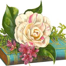 Схема вышивки «роза»