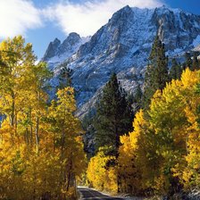 Схема вышивки «6896»