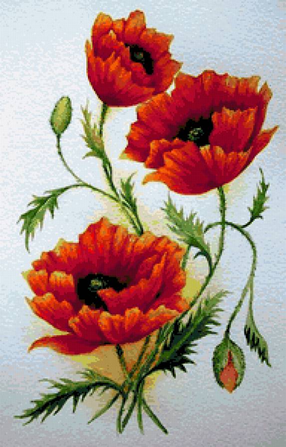 №209361 - предпросмотр