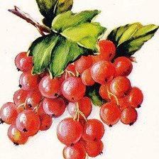 Схема вышивки «Веточка смородины»