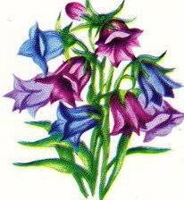 Схема вышивки «Колокольчики»