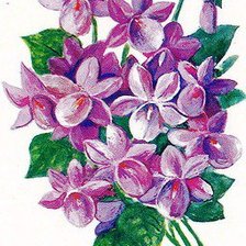 Схема вышивки «Букет фиалок»