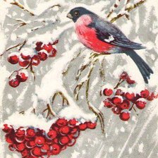 Схема вышивки «Снегирь и рябина»