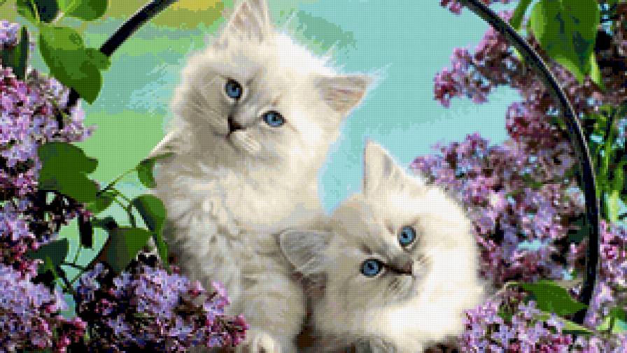 №209474 - предпросмотр