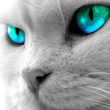 Схема вышивки «синеглазка»