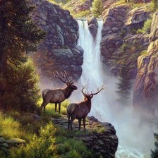 Схема вышивки «№209671»