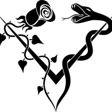 Схема вышивки «Змея с розой»