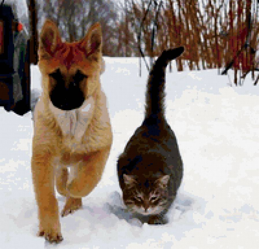 вместе весело шагать - животные природа - предпросмотр