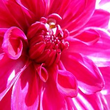 Схема вышивки «87542»