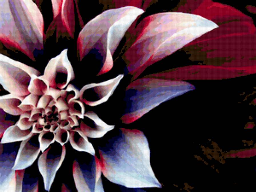 70874 - букет, цветок, цветы, розы - предпросмотр