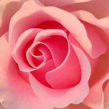 Схема вышивки «7865»