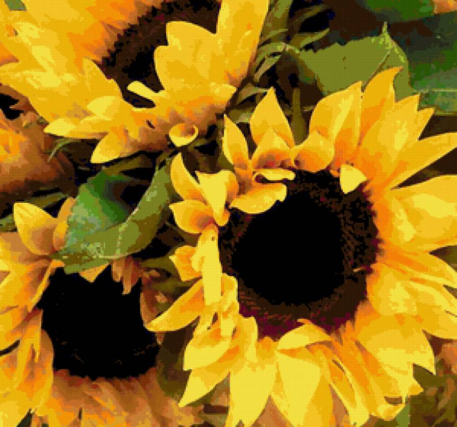 89873 - букет, роза, цветок, цветы, розы - предпросмотр