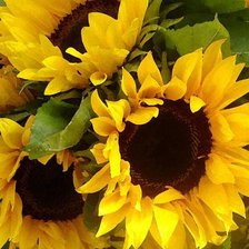 Схема вышивки «89873»