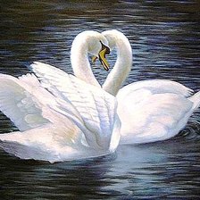 Схема вышивки «Лебеди»