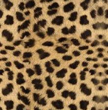 Схема вышивки «№209988»