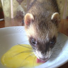 Схема вышивки «Хорек»