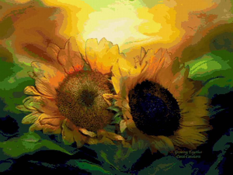 подсолнухи - предпросмотр