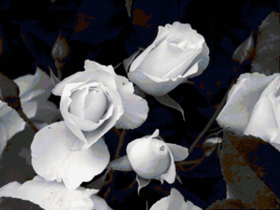 цветы - предпросмотр