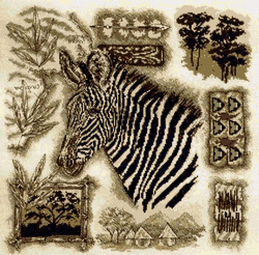 зебра - предпросмотр