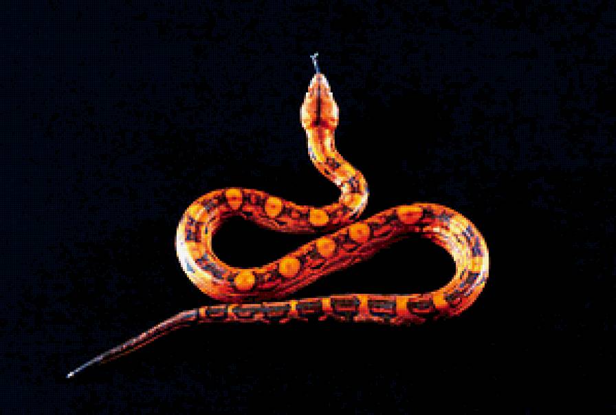 Змея - предпросмотр