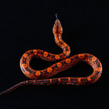 Схема вышивки «Змея»