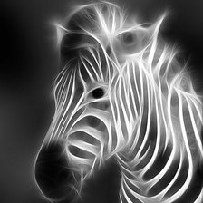 Схема вышивки «Зебра»