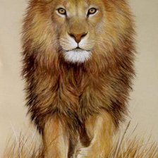 Схема вышивки «лев»