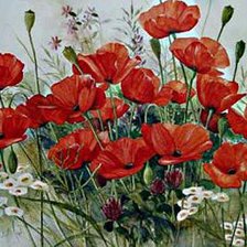 Схема вышивки «Маки»