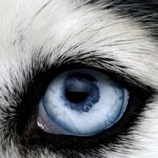 Схема вышивки «Другое»