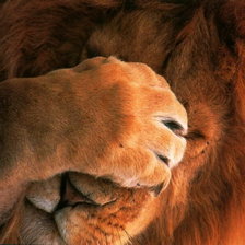 Схема вышивки «Очень стыдно.»