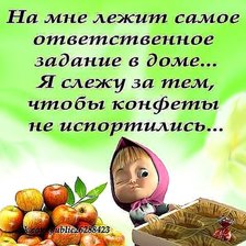 Схема вышивки «Прикол»