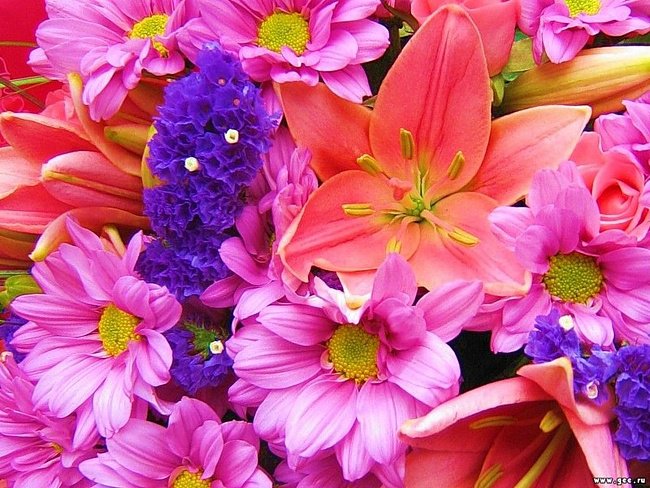 Цветы - цветы - оригинал