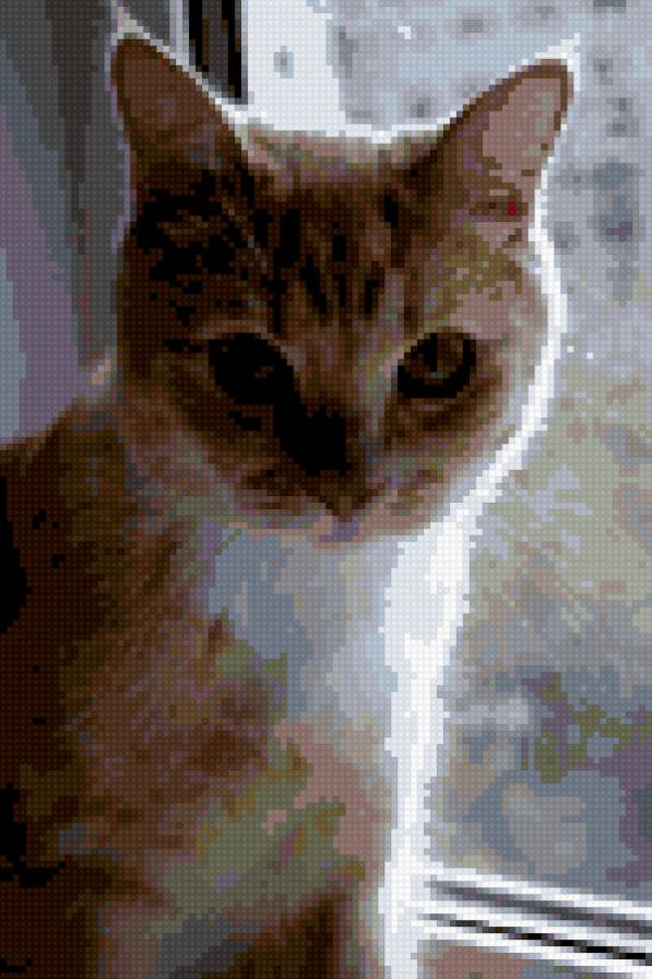 Сенька - предпросмотр