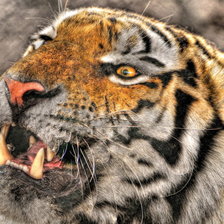 Схема вышивки «грозный зверь»