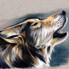 Схема вышивки «29»