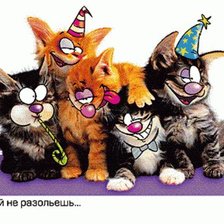 нас водой не разольешь